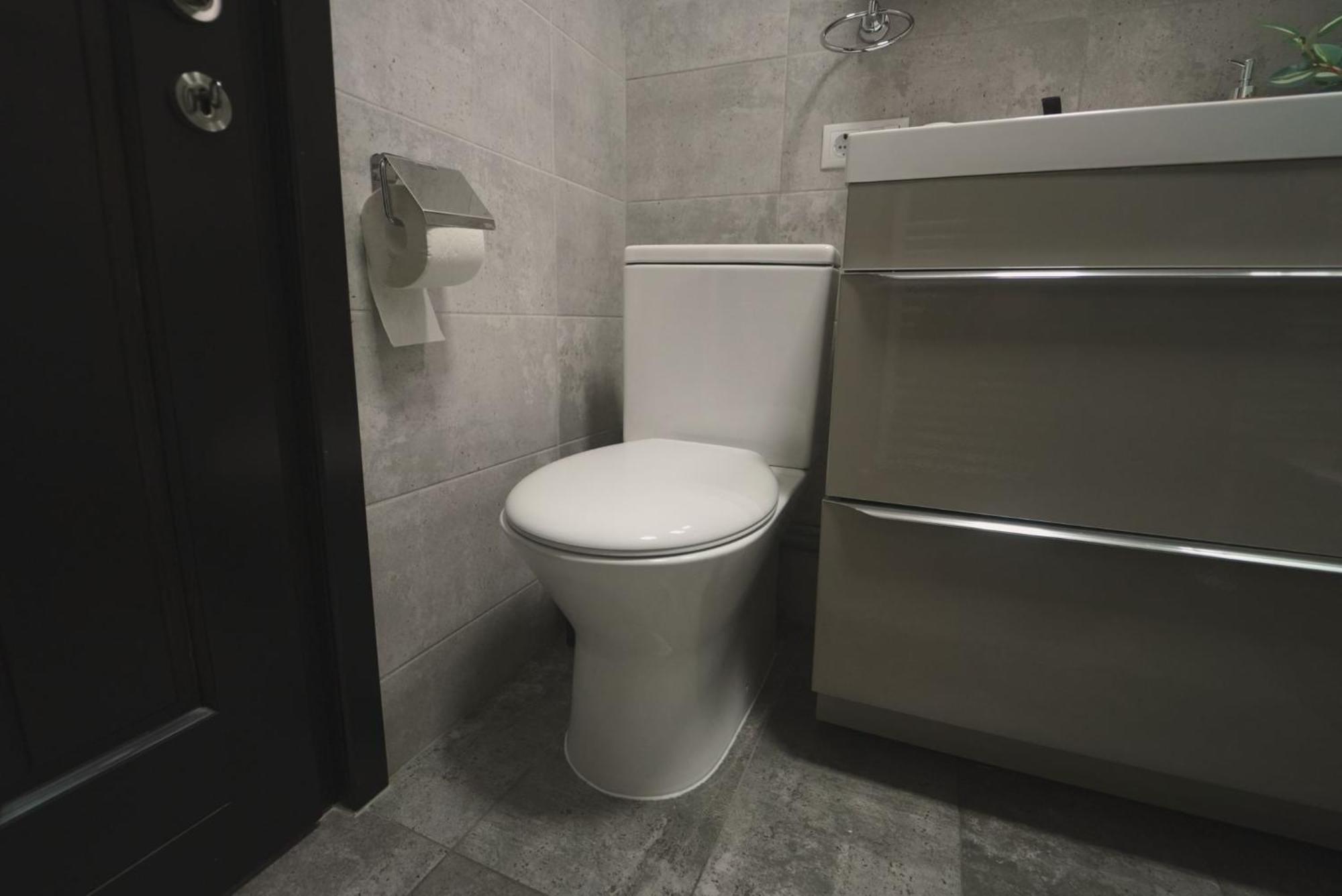 Luxury Apartament Ultracentral Of Suceava Esplanada エクステリア 写真
