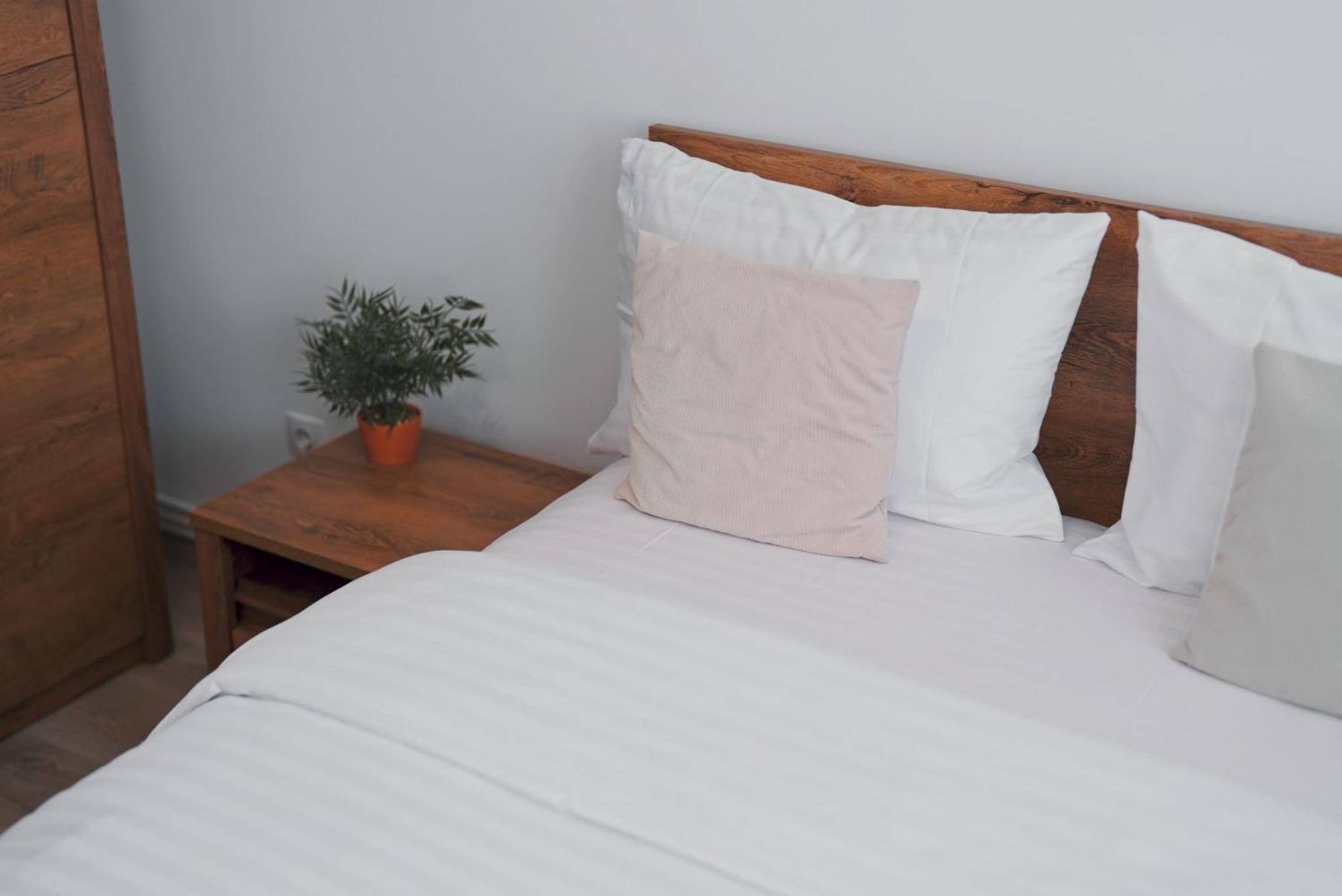 Luxury Apartament Ultracentral Of Suceava Esplanada エクステリア 写真